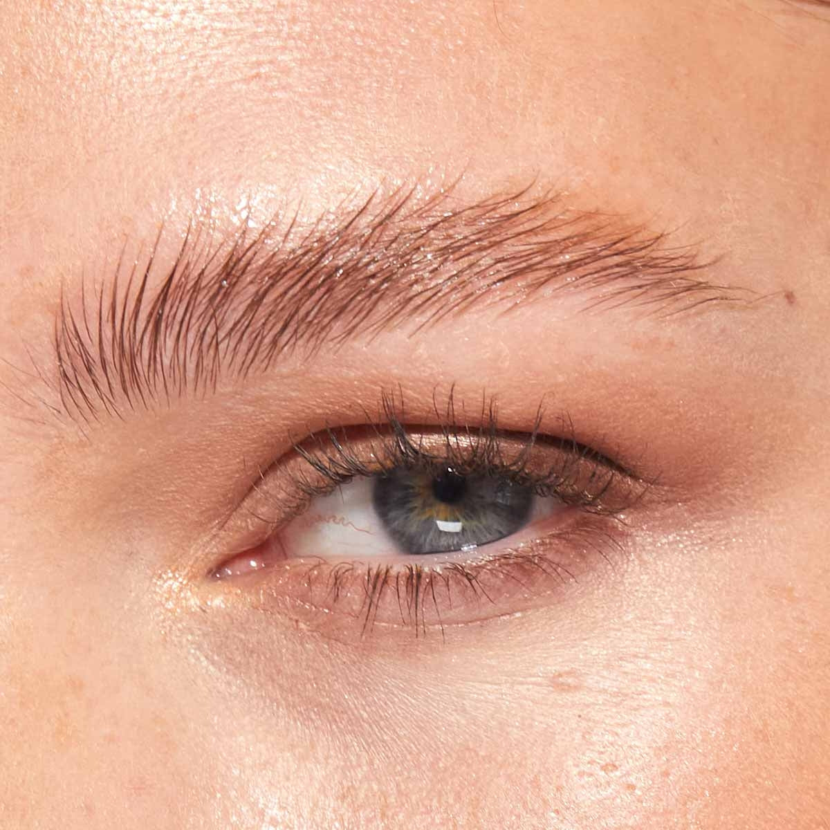 Kurs: HD Brows Express GRATIS KURS - Kurs