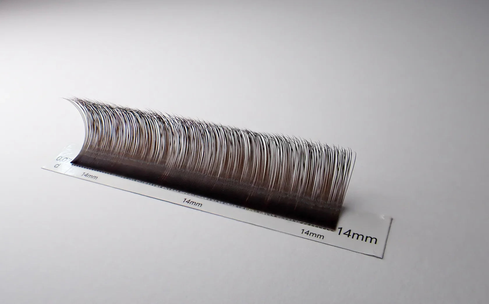brown angel lashes