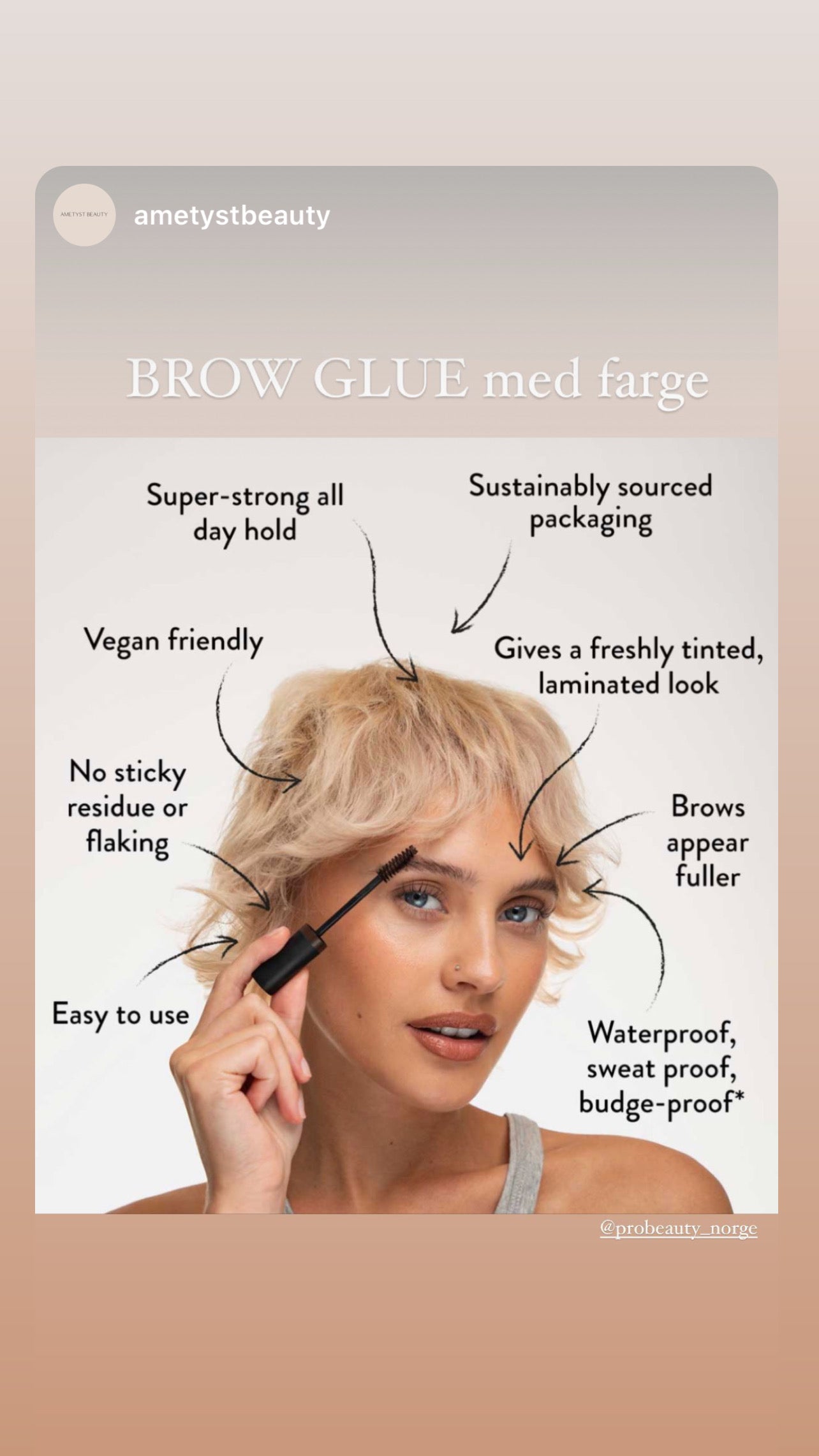 Brow Glue Merch Unit bundle!