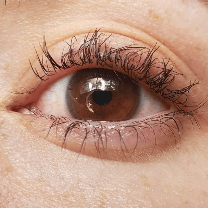 Feil Lash Lift? Få gratis vippeløft korrigering masterclass fra LVL Lashes