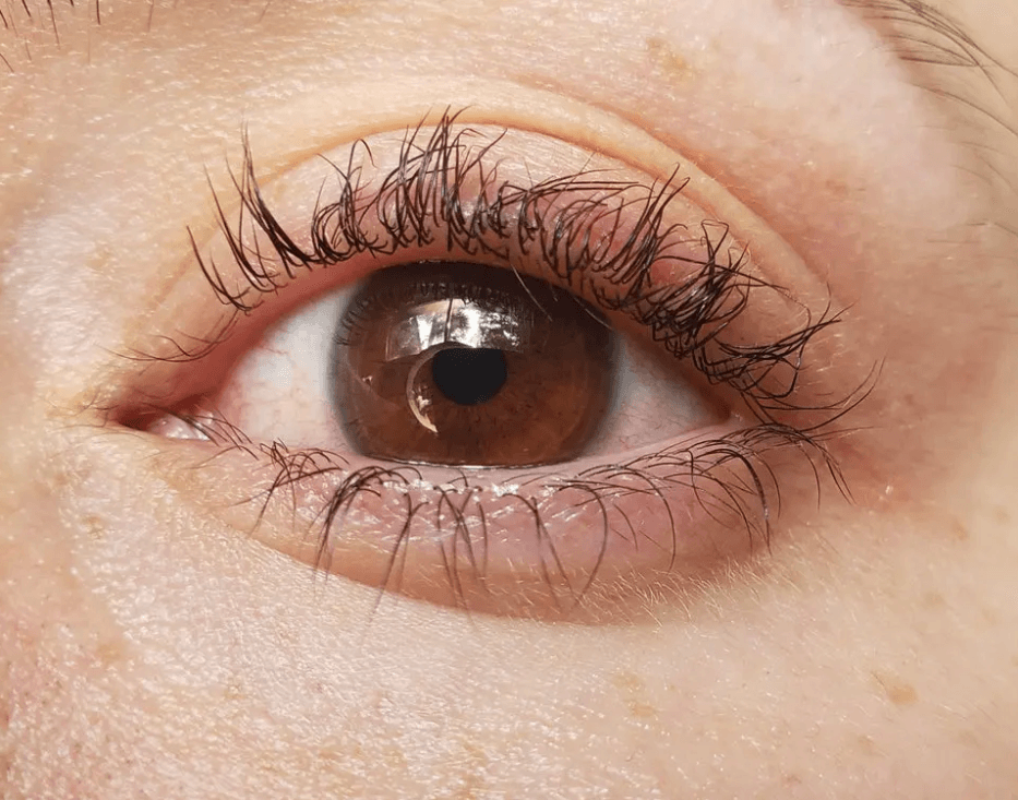 Feil Lash Lift? Få gratis vippeløft korrigering masterclass fra LVL Lashes